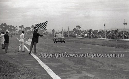 Calder 1965 - Photographer Peter D'Abbs - Code 65-PD-C29865-079