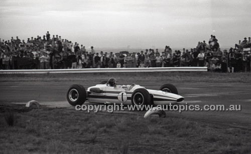 Calder 1965 - Photographer Peter D'Abbs - Code 65-PD-C29865-080