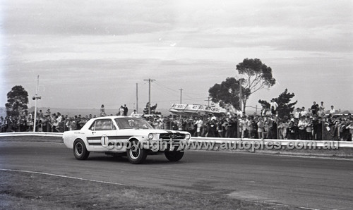 Calder 1965 - Photographer Peter D'Abbs - Code 65-PD-C29865-090