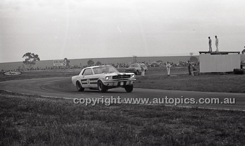 Calder 1965 - Photographer Peter D'Abbs - Code 65-PD-C29865-094