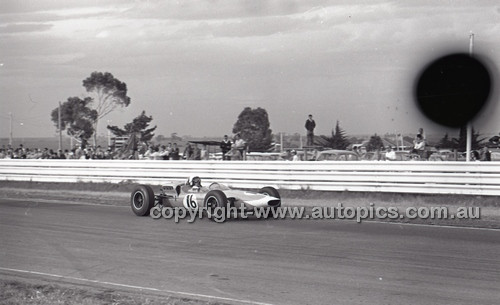 Calder 1965 - Photographer Peter D'Abbs - Code 65-PD-C29865-105
