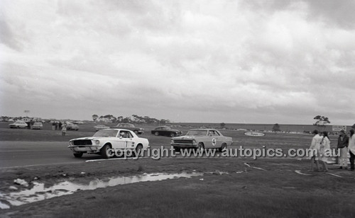 Calder 1966 - Photographer Peter D'Abbs - Code 66-PD-C-082