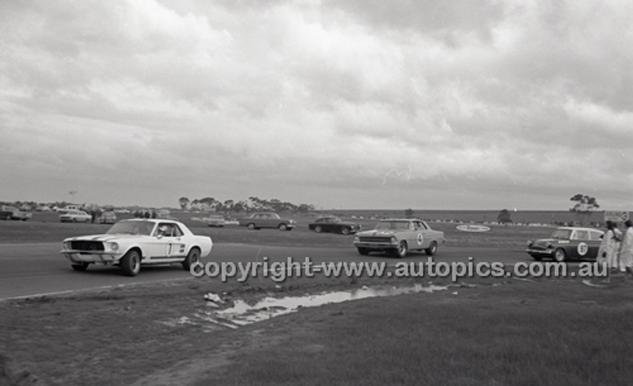 Calder 1966 - Photographer Peter D'Abbs - Code 66-PD-C-084