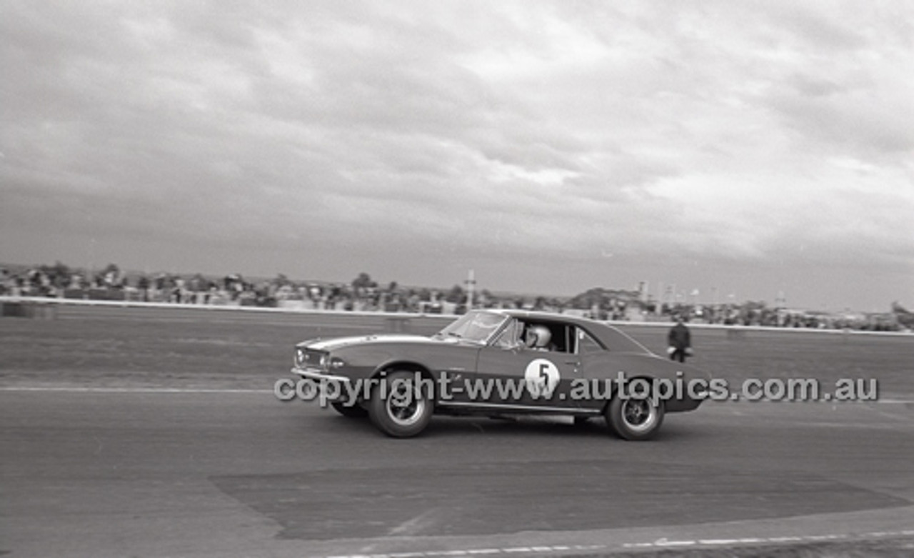 Calder 1966 - Photographer Peter D'Abbs - Code 66-PD-C-085