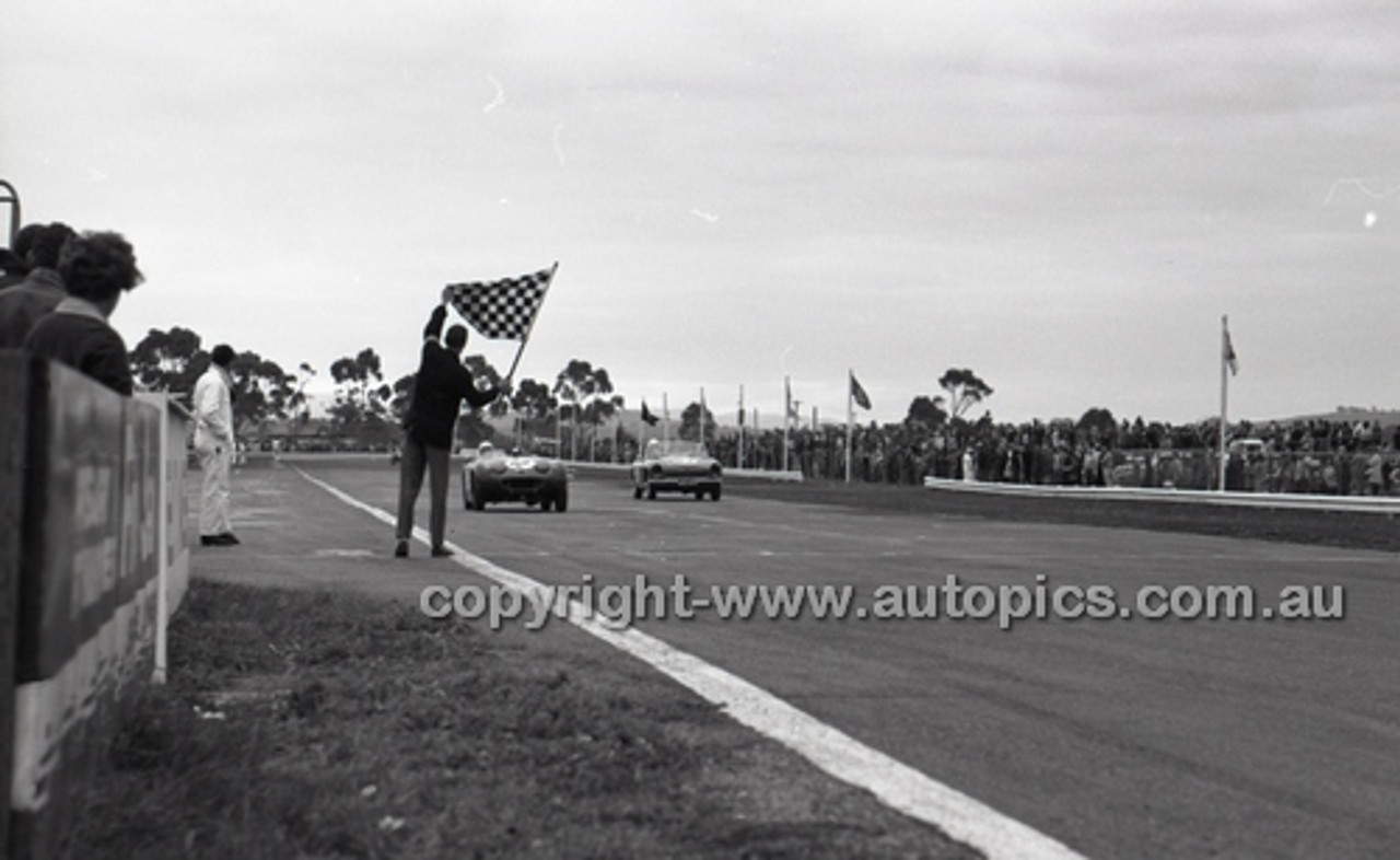 Calder 1966 - Photographer Peter D'Abbs - Code 66-PD-C-131