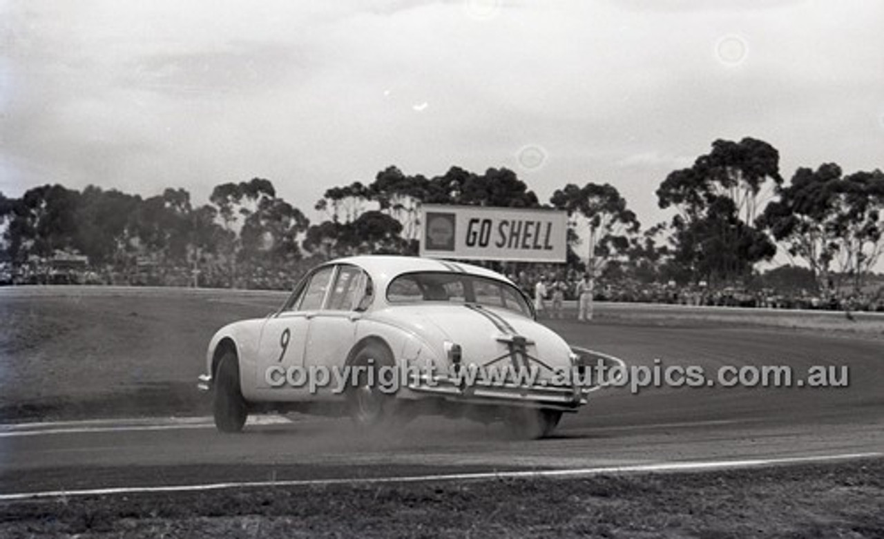 Calder 1966 - Photographer Peter D'Abbs - Code 66-PD-C-16166-019