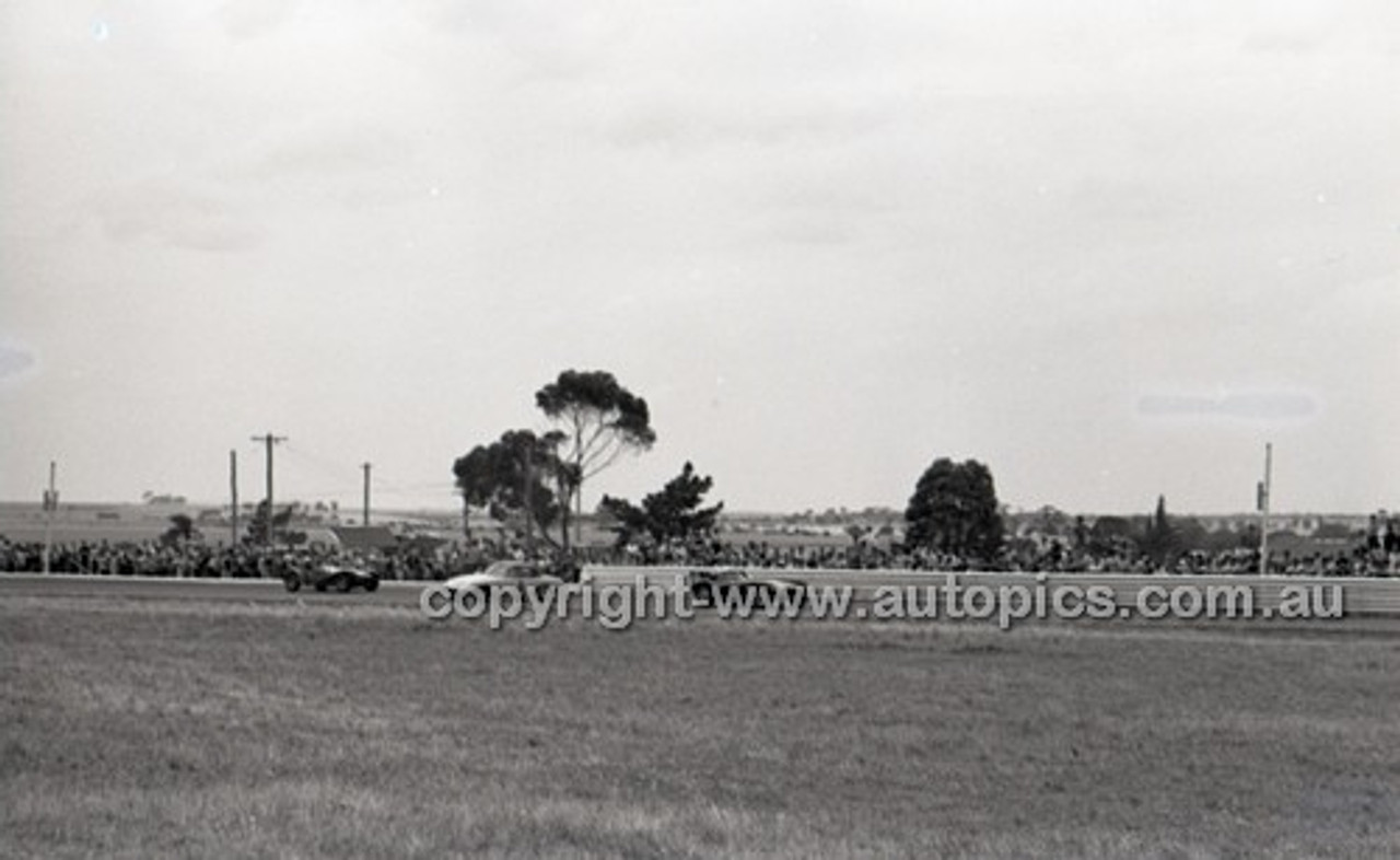 Calder 1966 - Photographer Peter D'Abbs - Code 66-PD-C-16166-1-013