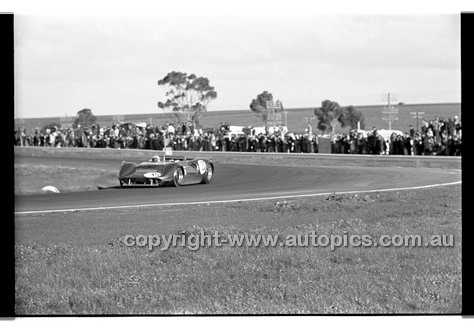 Calder 1969 - Photographer Peter D'Abbs - Code 69-PD-C19169-171