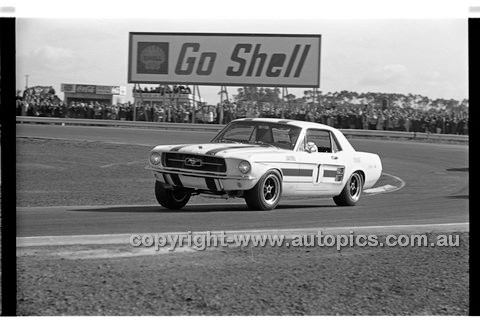 Calder 1969 - Photographer Peter D'Abbs - Code 69-PD-C19169-184