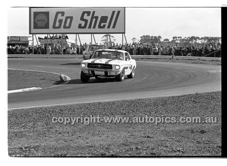 Calder 1969 - Photographer Peter D'Abbs - Code 69-PD-C19169-200