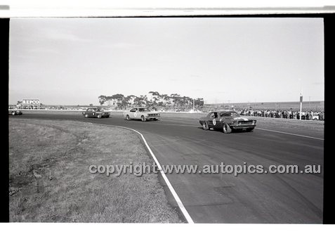 Calder 1969 - Photographer Peter D'Abbs - Code 69-PD-C19169-302