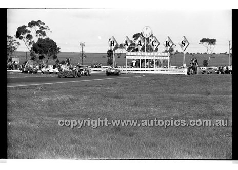 Calder 1969 - Photographer Peter D'Abbs - Code 69-PD-C23369-005