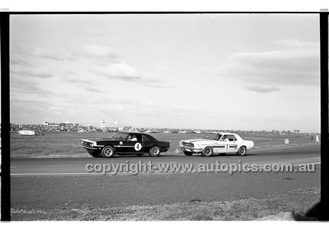 Calder 1969 - Photographer Peter D'Abbs - Code 69-PD-C23369-037