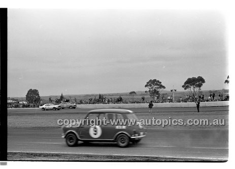 Calder 1969 - Photographer Peter D'Abbs - Code 69-PD-C23369-127