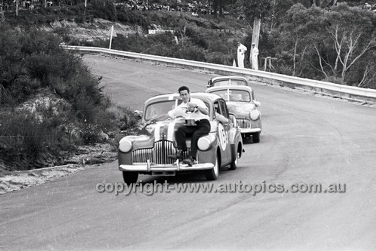 Catalina Park Katoomba - 8th November 1964 - Code 64-C81164- 33