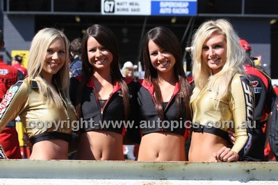 Supercheap Auto 1000 - 2008 V8 Supercar Championship - Code - 08-MC-B08-399