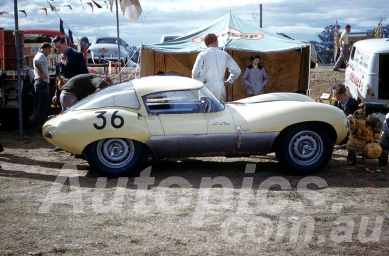 61055 - Frank Matich - D Type Jaguar  - Warwick Farm 1961 - Photographer Peter Wilson