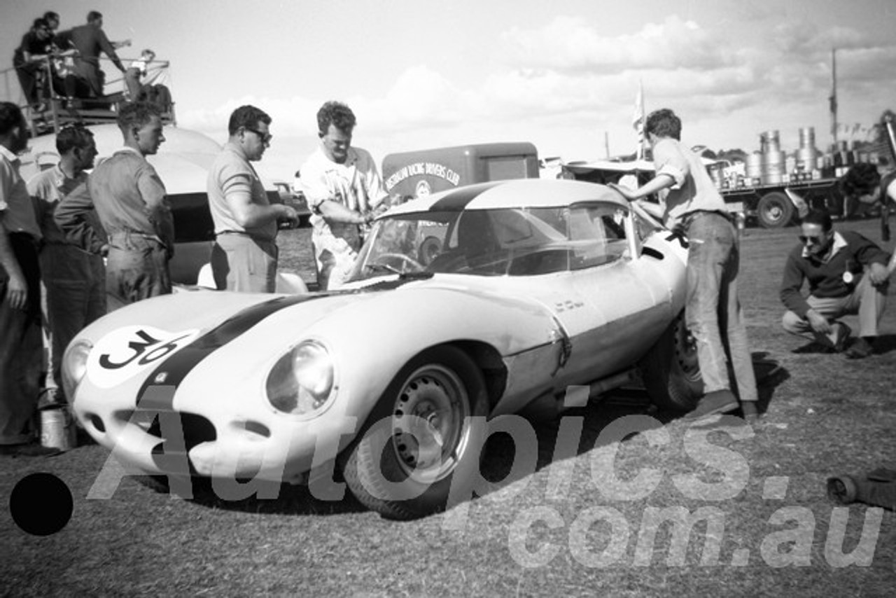 61066 - Frank Matich, D Type Jaguar - Warwick Farm 1961 - Paul Manton Collection