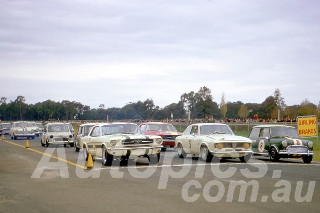 67125 - Ian (Pete) Geoghegan, Mustang / Kevin Bartlett Alfa Romeo GTA ? Brian Foley, Morris Cooper S -  Warwick Farm 1967 - Peter Wilson Collection