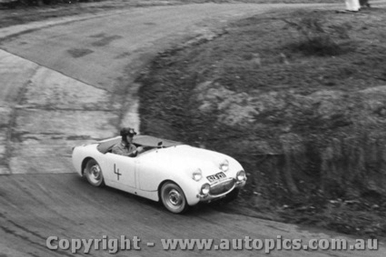 59111 -  H. Firth Austin Healey Sprite - Templestowe  Hill Climb 1959