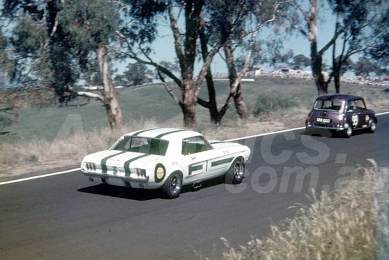 69670 - Pete Geoghegan, Mustang & Phil Barnes, Morris Cooper S - Bathurst 1969 - Photographer Lance Ruting