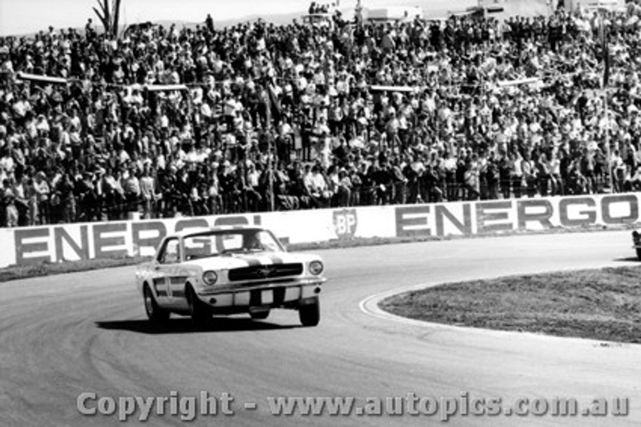 66015 - P. Geoghegan Ford Mustang - Oran Park 1966