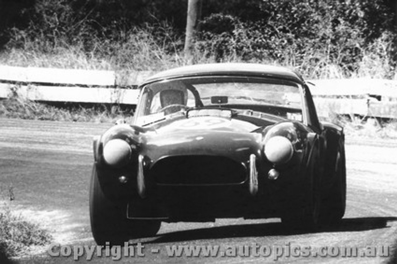 67463 -  R. Thorp  AC Cobra  - Bathurst  -  27/3/1967 - Photographer Lance Ruting