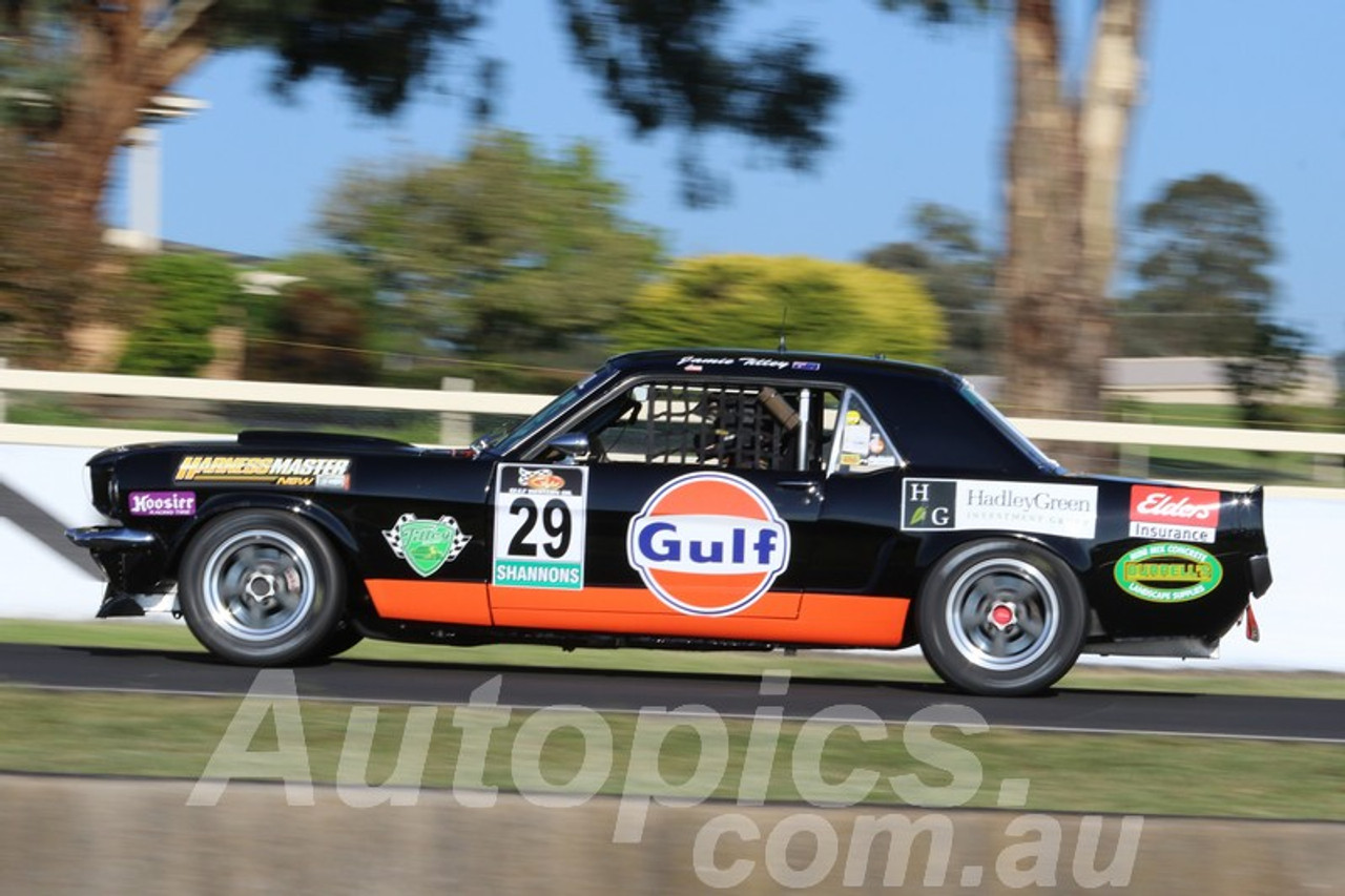 2021542 - Jamie Tilley - Ford Mustang Coupe - Bathurst, Touring Car Masters, 2021