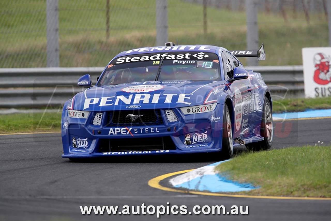 24SA09JS7041 - Matthew Payne & Garth Tander - 2024 Penrite Oil Sandown 500,  Sandown International Raceway, 2024 - Ford Mustang GT - Photographer - James Smith 24SA09JS7041 - Matthew Payne & Garth Tander - 2024 Penrite Oil Sandown 500,  Sandown International Raceway, 2024 - Ford Mustang GT - Photographer - James Smith