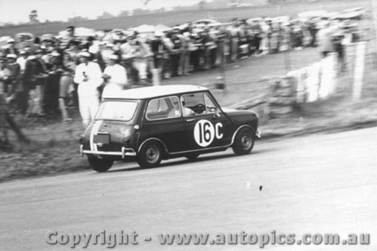 66731  -  Arentz / Seton  -  Morris Cooper S - Bathurst 1966