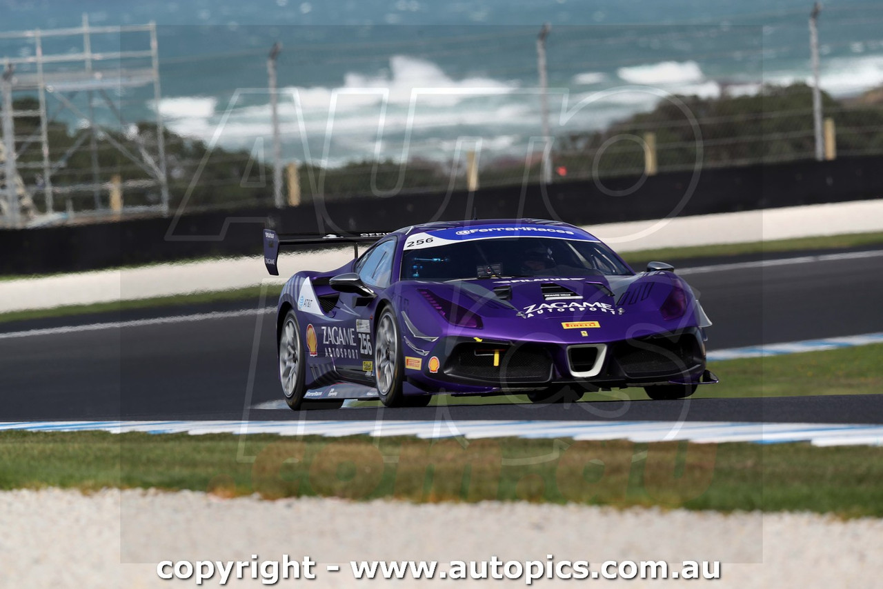 26SS05JS2544 -  International  Ferrari Challenge, Trofeo Pirelli Australia - Shannons SpeedSeries, LIQUI MOLY GT Festival, The Bend Motorsport Park, 2026 - Photographer James Smith