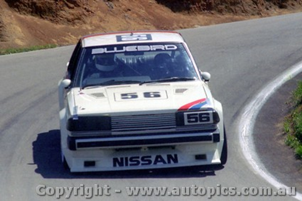 81829 - M.Hasemi  / K. Hoshino-  Nissan  Bluebird - Bathurst  1981 - Photographer Lance J Ruting