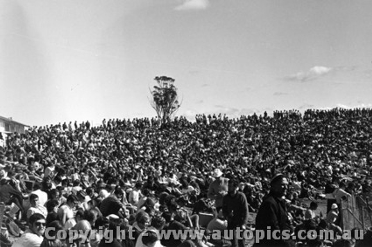 69119 - Th large crowd at Oran Park - 18th May 1969 - Photographer  David Blanch