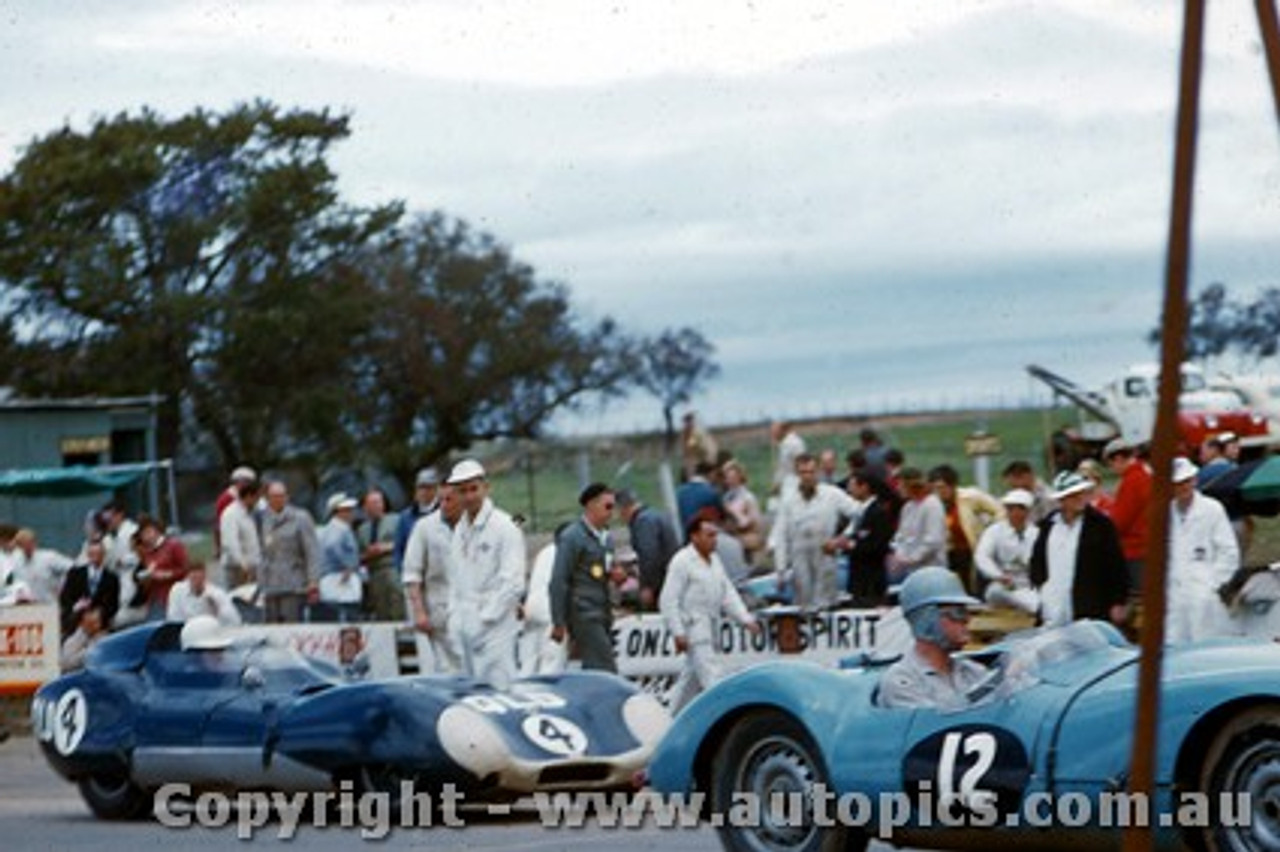 58446 - R. Phillips Cooper Jaguar  & C. Whatmore Lotus Climax - Bathurst 1958 - Photographer Adrien Schagen