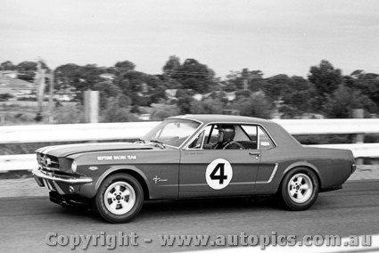 66011 - Norm Beechey, Ford Mustang, The Neptune Racing Team, Sandown ...
