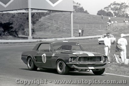 69126 - Bob Jane - Ford Mustang -  Sandown 16th February 1969 - Photographer Peter D Abbs