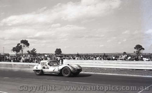 63415 - Murray Carter, Corvette - Sandown 24th February 1963  - Photographer Peter D'Abbs