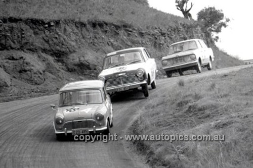 66778  - Malcolm Bailey & John Hicks, Morris 850 - Gallaher 500 Bathurst 1966 - Photographer Lance J Ruting