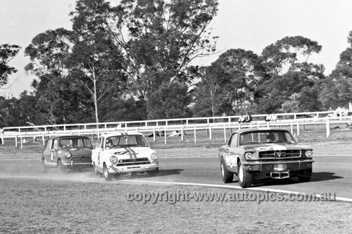 66089 - B. Thomas, Mustang - S. Martin, Lotus Cortina - R. Beasley, Austin Cooper S - Warwick Farm 1966 - PhotographerBruce Wells