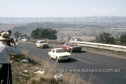 67767 - Doug Chivas / Max Stewart  Alfa 1600 GTV  -  Bruce Hindhaugh / Peter Macrow Toyota Corolla - Peter Cray / Don Holland Morris Cooper - Gallaher 500 Bathurst 1967 - Photographer Geoff Arthur