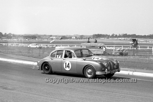64136 - Frank Matich & Rod Blair, Jaguar 3.8Ltr - Sandown 6 Hour International  29th November 1964 - Photographer  Peter D'Abbs