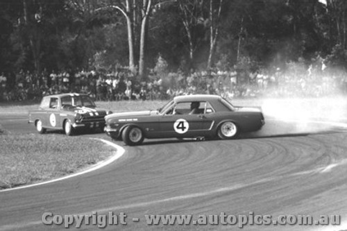 Norm Beechey  -  Mustang  Warwick Farm  1965