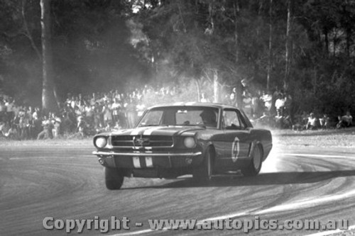 Norm Beechey  -  Mustang  Warwick Farm  1965