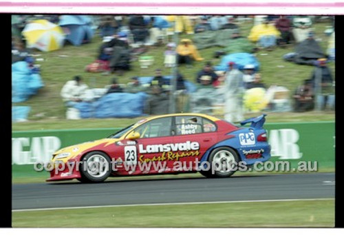 Bathurst 1000, 2001 - Photographer Marshall Cass - Code 01-MC-B01-284