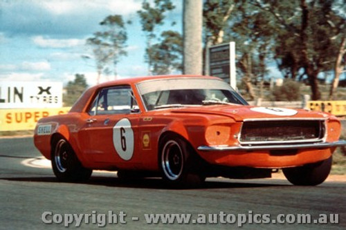 70064  -  Bob Jane   -  Ford Mustang - Bathurst 1970 - Photographer David Blanch
