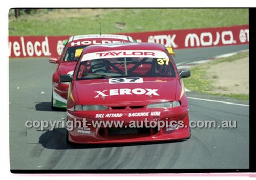 Bathurst 1000, 2001 - Photographer Marshall Cass - Code 01-MC-B01-1001