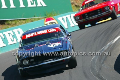 Bathurst 1000, 2004 -  Photographer Marshall Cass - Code 04-MC-B04-574