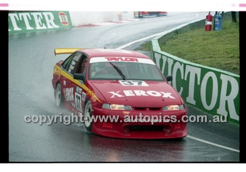 Bathurst FIA 1000 1998 - Photographer Marshall Cass - Code MC-B98-1093