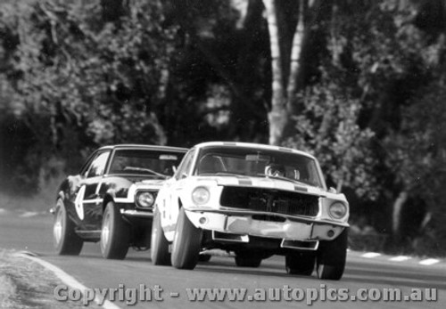 68032 - Niel Allen Ford Mustang Norm Beechey Chev Camaro Warwick Farm 1968 - Photographer David Blanch