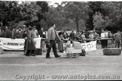 Hepburn Springs Hill Climb 1959 - Photographer Peter D'Abbs - Code 599108